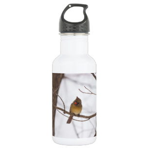 Schneit wieder sagt Mrs Cardinal Edelstahlflasche