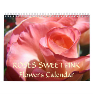 SCHNEIZEN ROSE Kalender ROSE BLUME