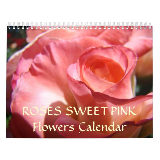 SCHNEIZEN ROSE Kalender ROSE BLUME (Titelbild)