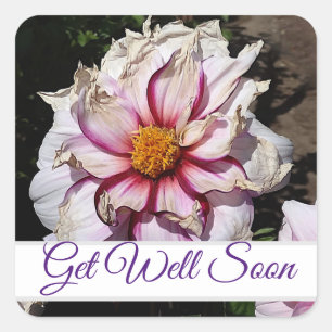 Schnell Dahlia Edge of Joy #1 Stickers durchlaufen