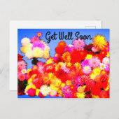 Schnell erhalten Sie verschiedene Dahlias #2-2 Pos Postkarte (Vorne/Hinten)