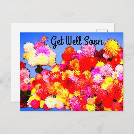 Schnell erhalten Sie verschiedene Dahlias #2-2 Pos Postkarte (Vorne/Hinten)