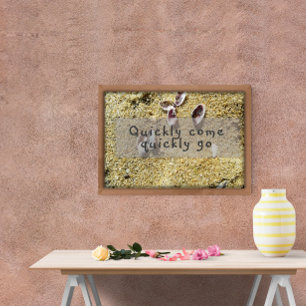 Schnell kommen schnell gehen Inspiration Weisheit  Poster