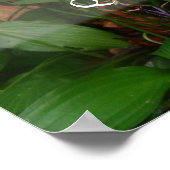 Schnell kommen Sie zu Weisheitsgrün Poster (Ecke)