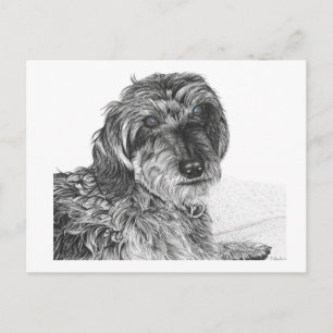 Schnell - leere Postkarte