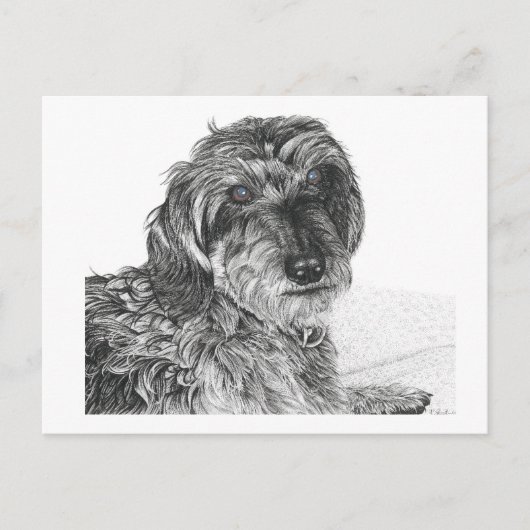 Schnell - leere Postkarte (Vorderseite)