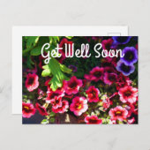 Schnell Rot Petunias #1 Postkarte (Vorne/Hinten)