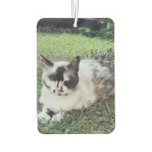 'Schnell Versagt und lernen' Text & Foto, Motivier Autolufterfrischer (Rückseite)