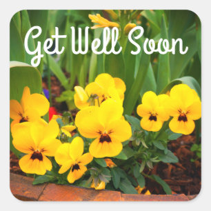 Schnell Yellow Pansy #1 Stickers