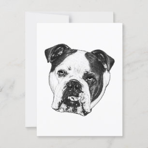 Schnelle Cheer Bulldog Post Postkarte