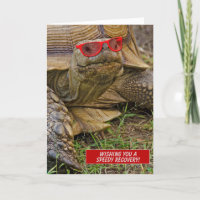 Schnelle Erholung alte Schildkröte in roter Sonnen