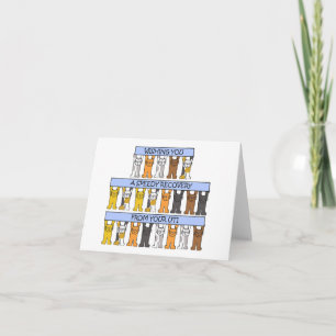 Schnelle Erholung von UTI Karte