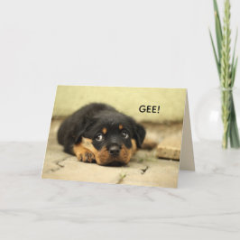 SCHNELLE FLÄCHE ERHALTEN GUTE KARTE