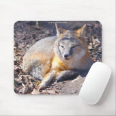 Schnelle Foxenruhe in der Sonnenschein Wildlife Mo Mousepad (Mit Mouse)