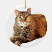 SCHNELLE GESCHWINDIGKEIT KERAMIK ORNAMENT (Hinten)