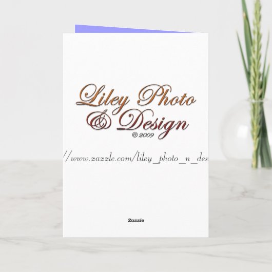 Schnelle Karte (Rückseite)