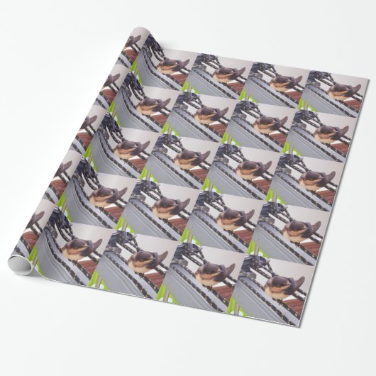 Schnelle Migration per Yacht Geschenkpapier (Ungerollt)