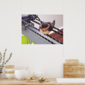 Schnelle Migration per Yacht Poster (Küche)