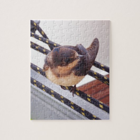 Schnelle Migration per Yacht Puzzle (Vertikal)