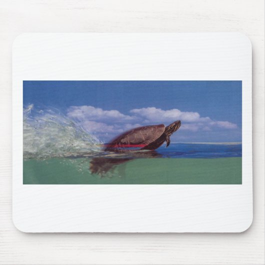 schnelle Schildkröte Mousepad (Vorne)