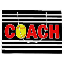 Schnelle Softball-Coach für Teamfarbsport