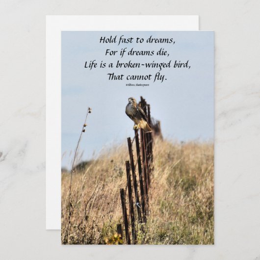 Schnelle Träume Einladung (Vorne/Hinten)