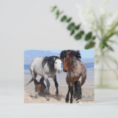 Schnelle und wütende Postkarte (Stehend Vorderseite)