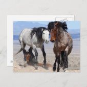 Schnelle und wütende Postkarte (Vorne/Hinten)