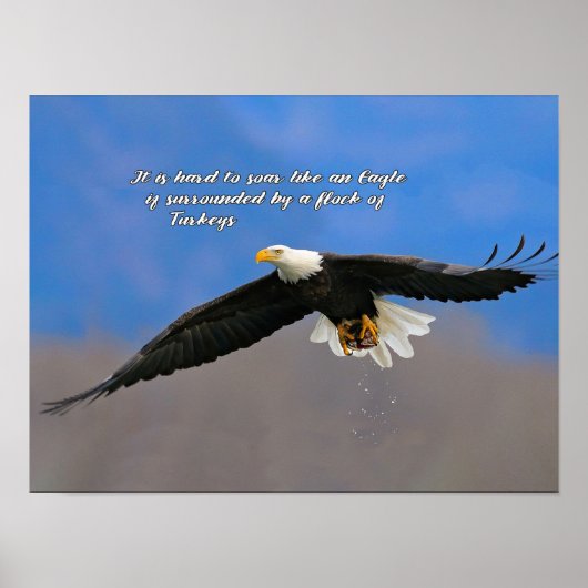Schneller Adler und Truthühner Poster (Vorne)