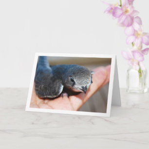 Schneller Vogel in der Hand Karte