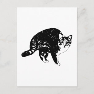 Schnelles Hallo, Tabby Postkarte