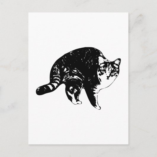 Schnelles Hallo, Tabby Postkarte (Vorderseite)