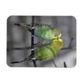 Schnelles Paar aus Budgen Magnet (Horizontal)