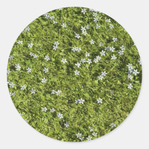 Schnellheber Runder Aufkleber