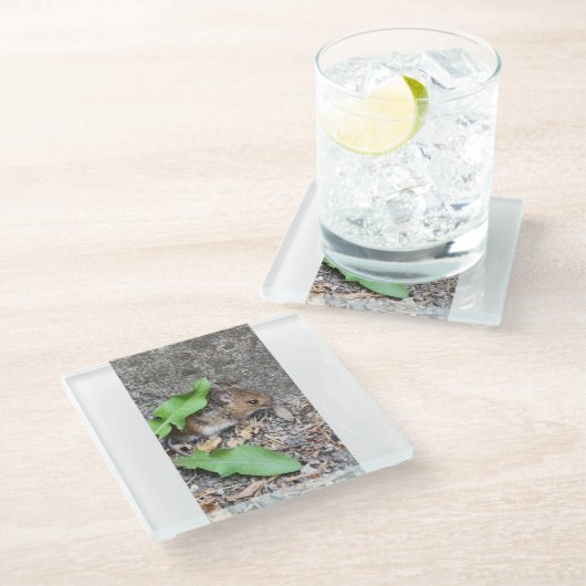 Schnellmauscosster Glasuntersetzer (Schrägansicht)