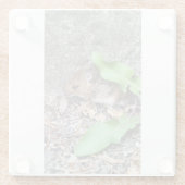 Schnellmauscosster Glasuntersetzer (Rückseite)