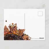 SCHNELLTAG! :) "DENKEN AN SIE" KARTE (Rückseite)