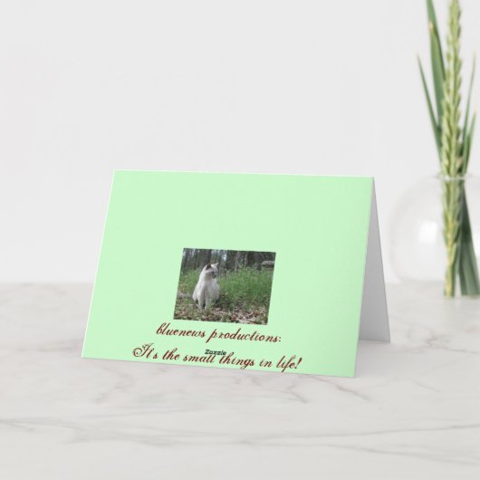 Schnevögel 5 feiertagskarte (Rückseite)