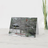 Schnevögel 5 feiertagskarte (Vorderseite)