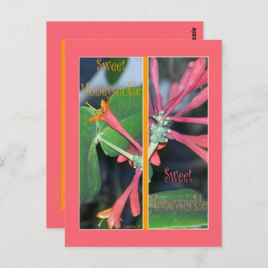 SCHNITTHONEYSUCKLE LESEZEICHEN POSTKARTE (Vorne/Hinten)