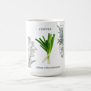 Schnittlauch — Allium schoenoprasum Kaffeetasse