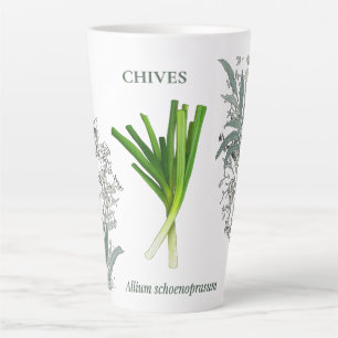 Schnittlauch — Allium schoenoprasum Milchtasse