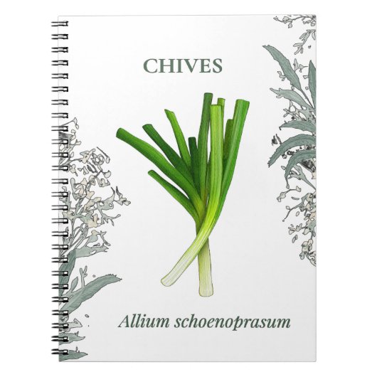 Schnittlauch — Allium schoenoprasum Notizblock (Vorderseite)