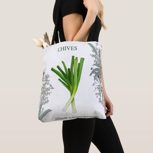 Schnittlauch — Allium schoenoprasum Tasche (Von Nahem)