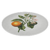 SCHNITTSTELLE : BITTERORANGE BLOSSOM SCHNEIDEBRETT (Ecke)