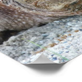 SCHNITTSTELLEN POSTER (Ecke)