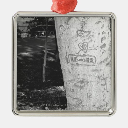 Schnitzen auf Birkenbaumstamm B&W Ornament Aus Metall (Vorne)