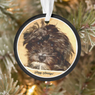 Schnoodle Acryl Kreis Ornament