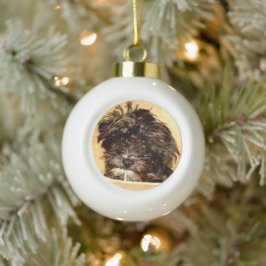 Schnoodle Ball Ornament