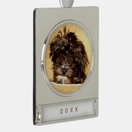 Schnoodle Dog Banner Ornament (Rechts)